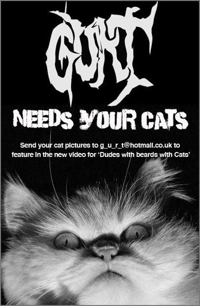 Gurt - Needs Your Cats