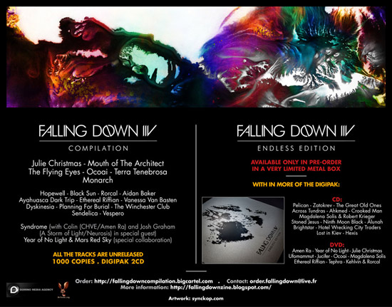Falling Down 'IIV' Flyer