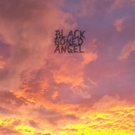 Black Boned Angel 'The End' Artwork