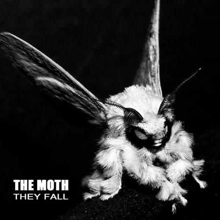 The Moth 'They Fall' Artwork