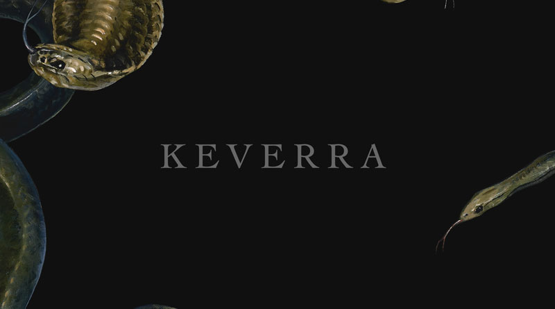 Keverra 'Keverra'