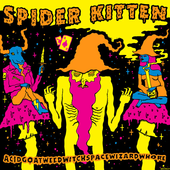 Spider Kitten ‘Acidgoatweedwitchbongspacewizardwhore’