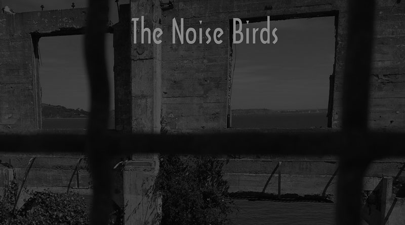 The Noise Birds 'The Dark Sea Hides A Bright Light'