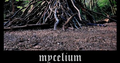 Mycelium 'A Multiplicity Of Hidden Worlds'
