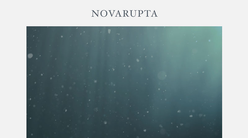 Novarupta ‘Marine Snow’