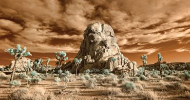 Earthless ‘Live In The Mojave Desert – Volume 1’