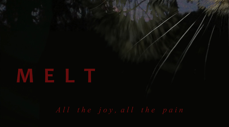 Melt 'All The Joy, All The Pain' EP