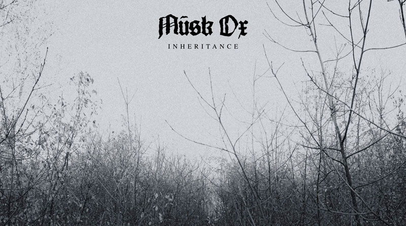 Musk Ox ‘Inheritance’