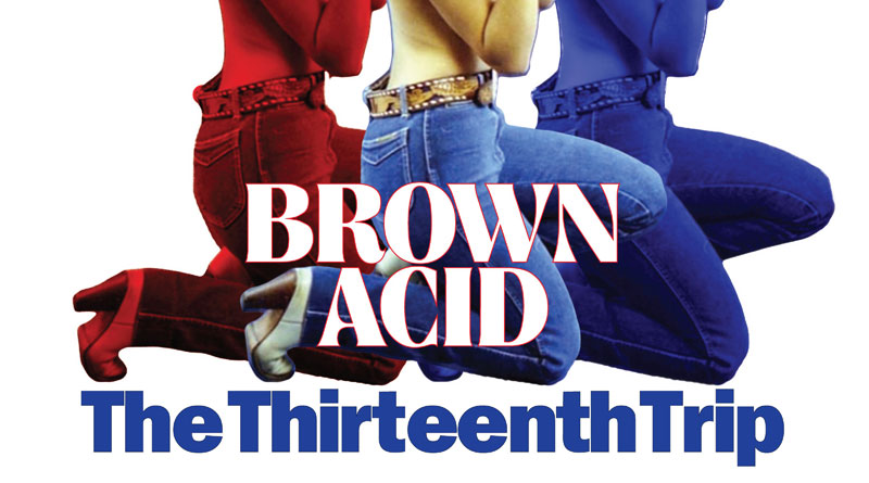 Various Artists ‘Brown Acid: The Thirteenth Trip’