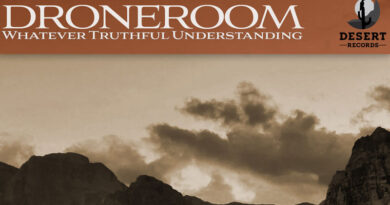 droneroom 'Whatever Truthful Understanding'