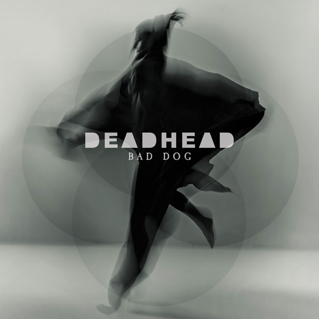 Deadhead 'Bad Dog'