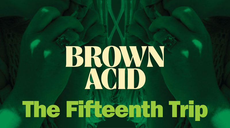 Various Artists 'Brown Acid – The Fifteenth Trip'