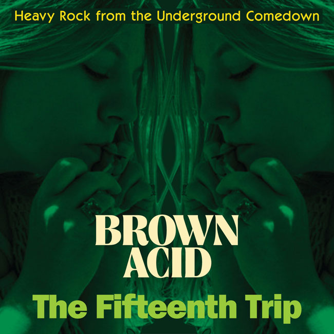 Various Artists 'Brown Acid – The Fifteenth Trip'