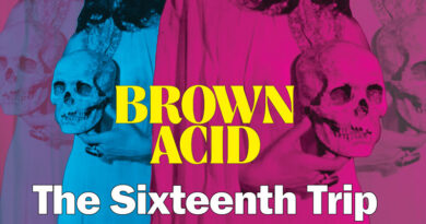 Various Artists 'Brown Acid The Sixteenth Trip'