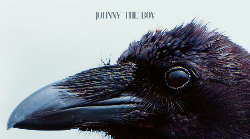 Johnny The Boy 'You' Artwork