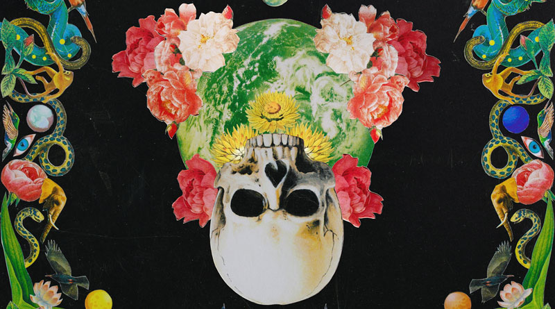 Hippie Death Cult 'Helichrysum' Artwork