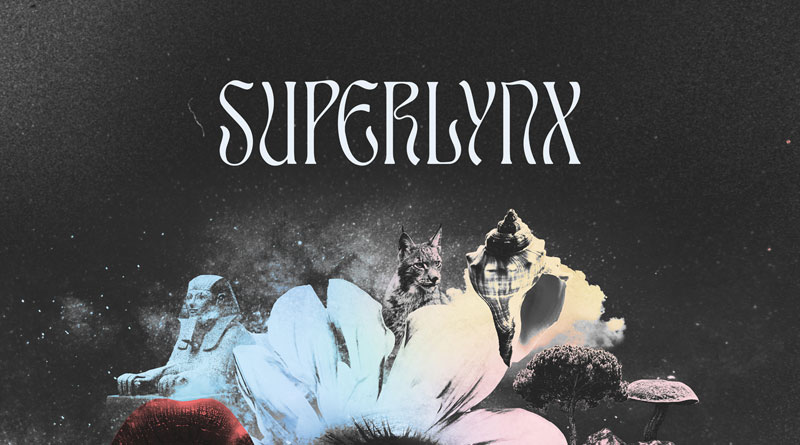 Superlynx '4 10' Artwork