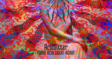 AcidSitter 'Make Acid Great Again' Artwork