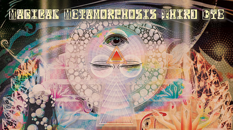 Hibushibire 'Magical Metamorphosis Third Eye' Artwork