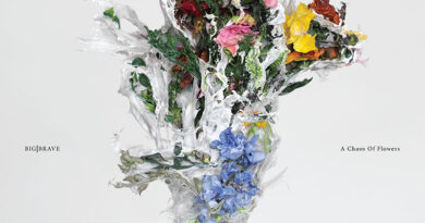 BIG|BRAVE 'A Chaos Of Flowers' Artwork